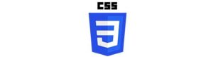 CSS logo